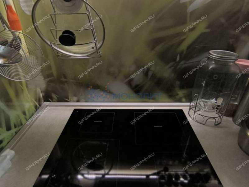 четырёхкомнатная квартира на Русской улице улице дом 9 деревня Анкудиновка