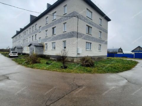 2-komnatnaya-selo-kerzhemok-shatkovskiy-rayon фото