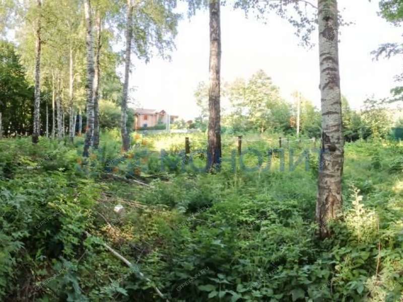 земельный участок 20 соток - деревня Зименки