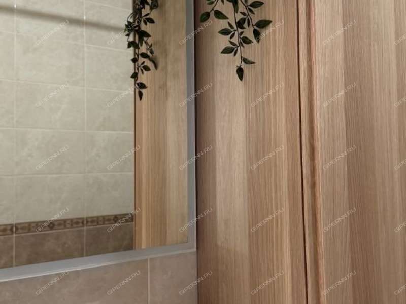 двухкомнатная квартира на Русской улице улице дом 7 деревня Анкудиновка