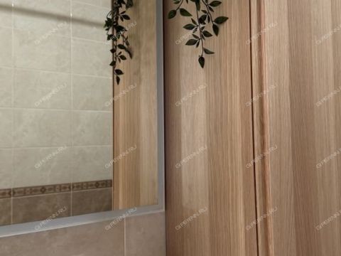 2-komnatnaya-derevnya-ankudinovka-kstovskiy-rayon фото