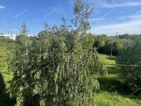 2-komnatnaya-gorod-vyksa-gorodskoy-okrug-vyksa фото