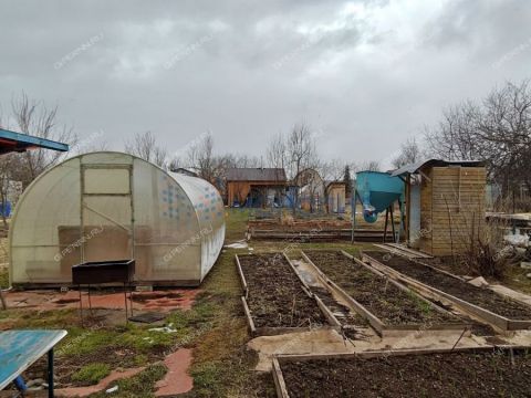 dacha-st-aviator фото
