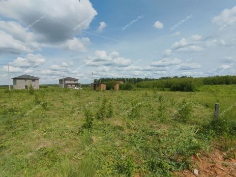 selo-kamenki-bogorodskiy-municipalnyy-okrug фото