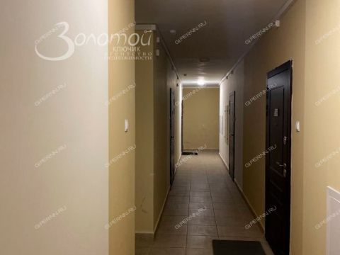 kvartira-studiya-derevnya-ankudinovka-kstovskiy-rayon фото