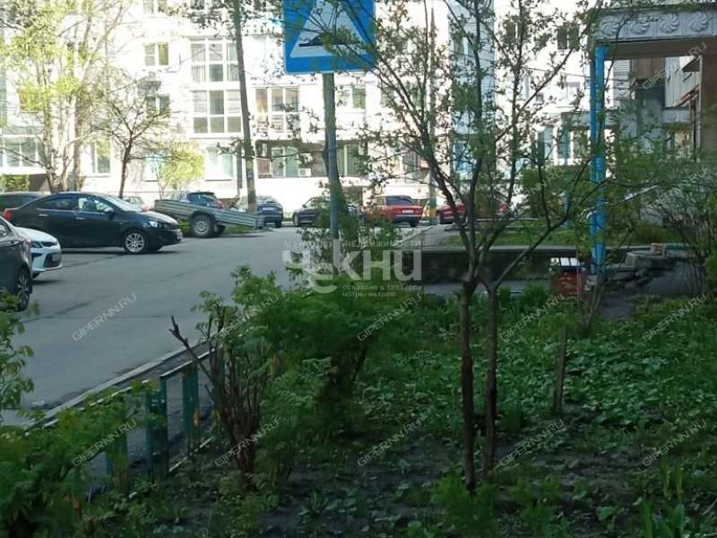 двухкомнатная квартира на улице Германа Лопатина дом 2