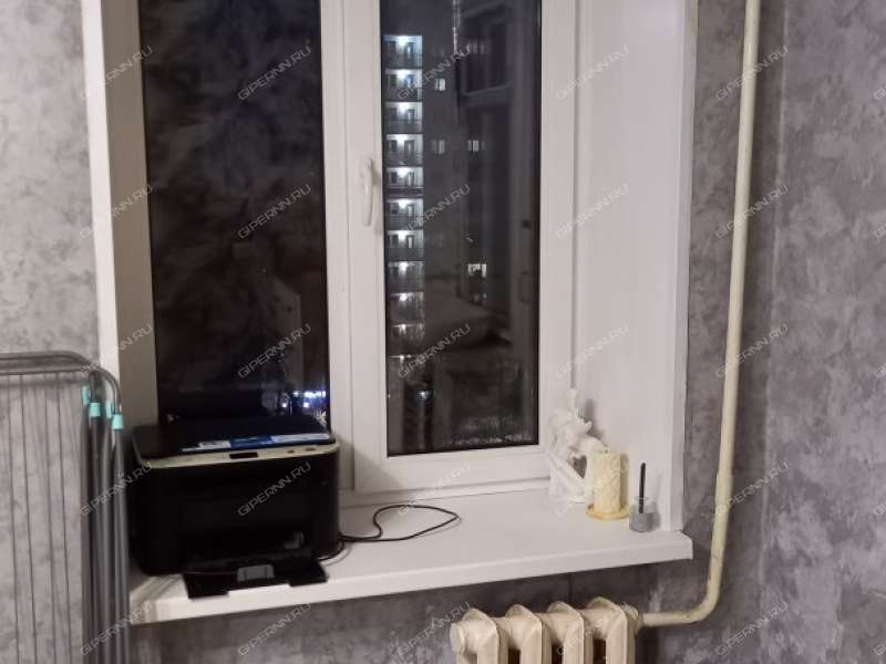 однокомнатная квартира на проспекте Ленина дом 45