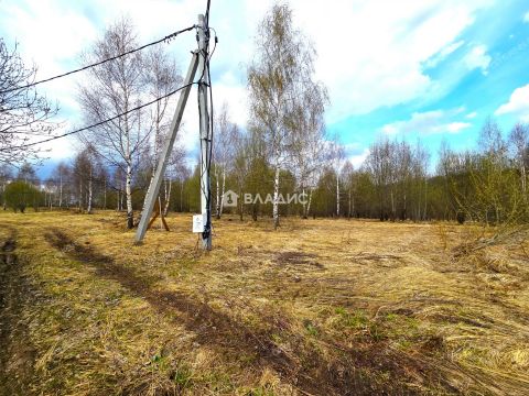 priokskiy-rayon фото