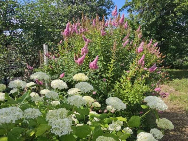 дом на улице Комарова рабочий посёлок Лукино