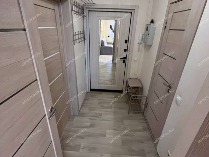 двухкомнатная квартира на улице Бориса Видяева дом 10