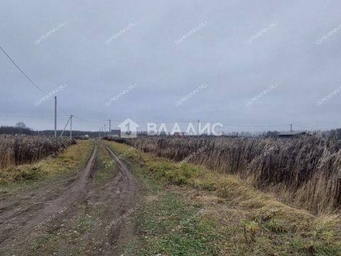 dom-derevnya-drozdovo-zinyakovskiy-selsovet-gorodeckiy-rayon фото