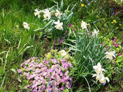 dacha-snt-sokol-sad-n1-snt-sokol-sad-1 фото