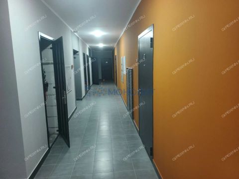 1-komnatnaya-ul-1-ya-oranzhereynaya-d-14a фото