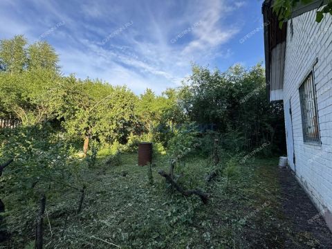 dacha фото