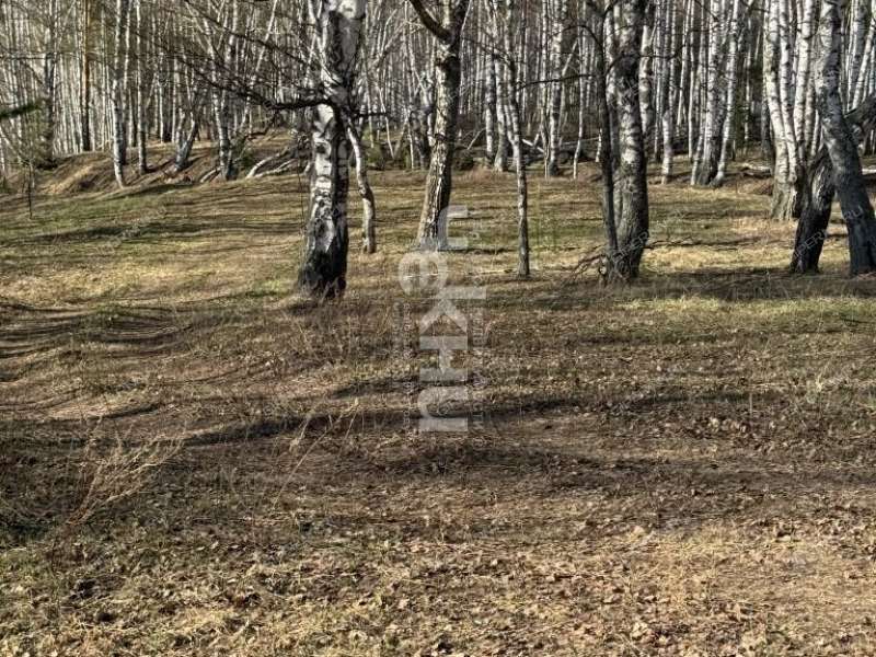 земельный участок 10,1 сотки Волжская деревня Кудрино