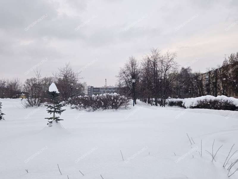 трёхкомнатная квартира на улице Адмирала Макарова дом 5