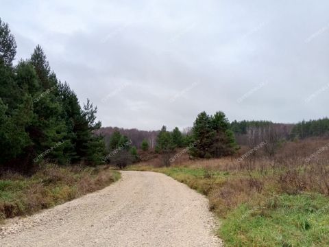 derevnya-kileley-bogorodskiy-municipalnyy-okrug фото