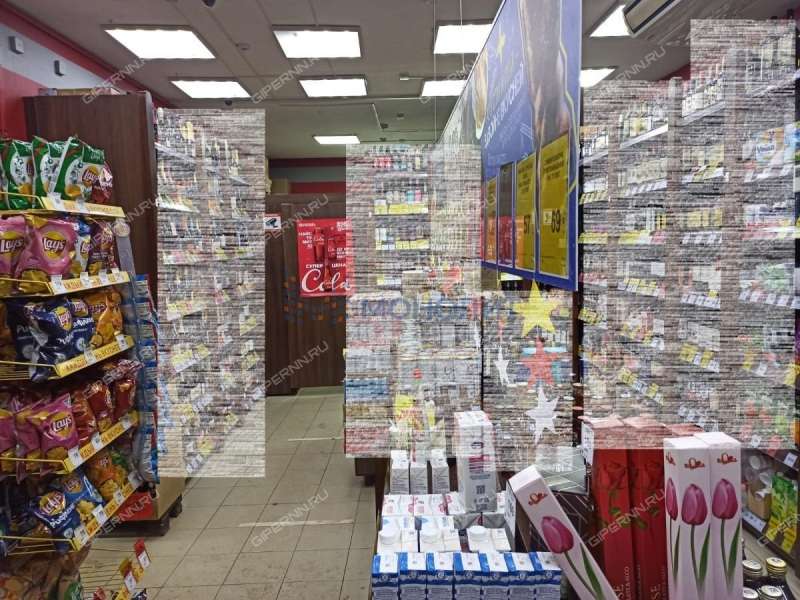 помещение под торговую площадь, склад на улице Ленина село Гагино