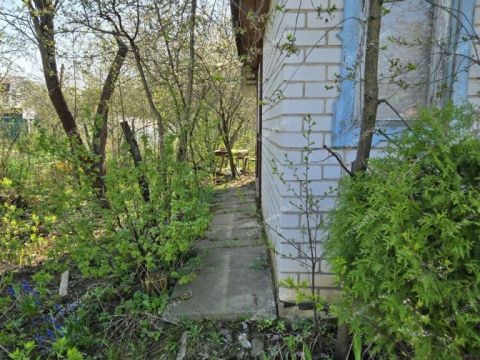 dacha-ul-radishheva фото