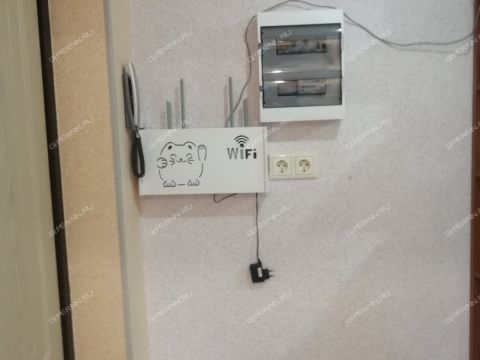 3-komnatnaya-poselok-druzhnyy-kstovskiy-rayon фото