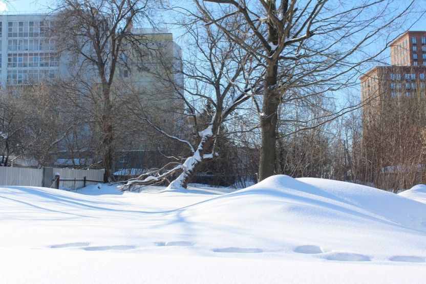 Пустырь на месте снесенных домов на Шевченко. Фото: Ксения Ражева