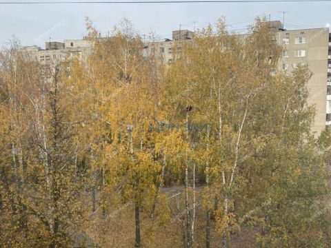 1-komnatnaya-gorod-dzerzhinsk-gorodskoy-okrug-dzerzhinsk фото