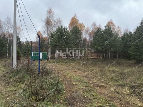 derevnya-kudrino-sokolskiy-gorodskoy-okrug фото