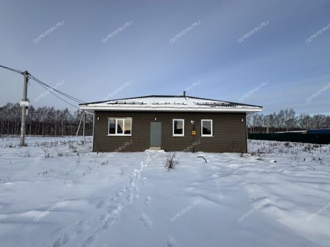 dom-derevnya-mihalchikovo-kstovskiy-rayon фото