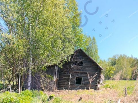 derevnya-berezovo-sokolskiy-gorodskoy-okrug фото