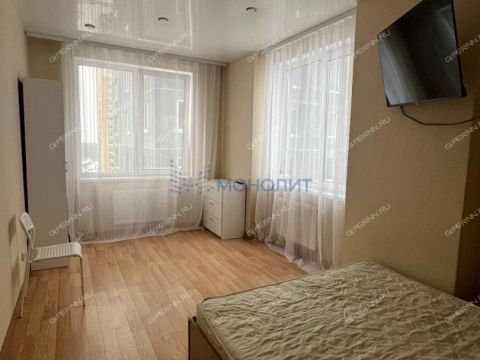 1-komnatnaya-derevnya-ankudinovka-kstovskiy-rayon фото