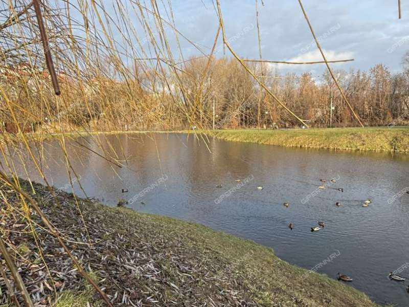 двухкомнатная квартира на улице Островского дом 3 город Кстово