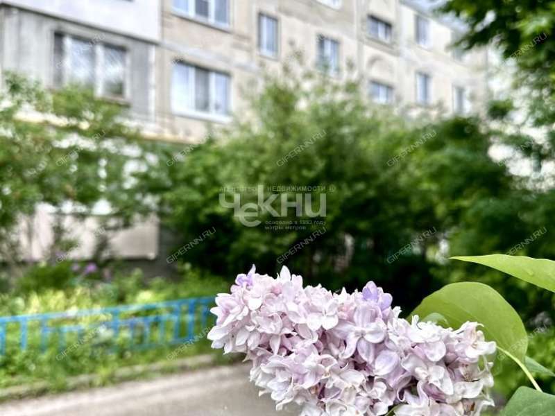 трёхкомнатная квартира на Зелёной улице дом 65 деревня Афонино