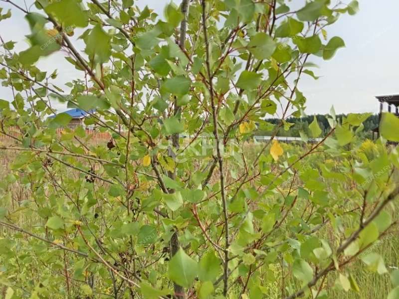 земельный участок 11 соток деревня Архипиха