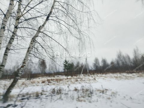 selo-bezvodnoe-kstovskiy-rayon фото