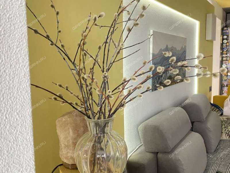 трёхкомнатная квартира на Октябрьской улице дом 5б город Дзержинск