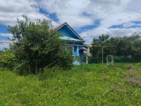 dom-selo-motovilovo-gorodskoy-okrug-arzamas фото