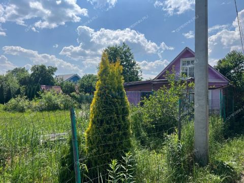 dacha фото