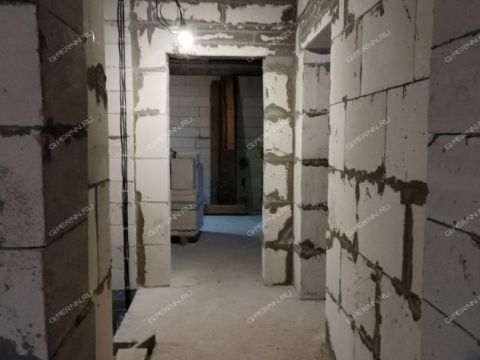 dom-vasilkovaya фото