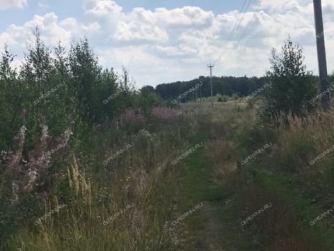 selo-aleshkovo-bogorodskiy-municipalnyy-okrug фото