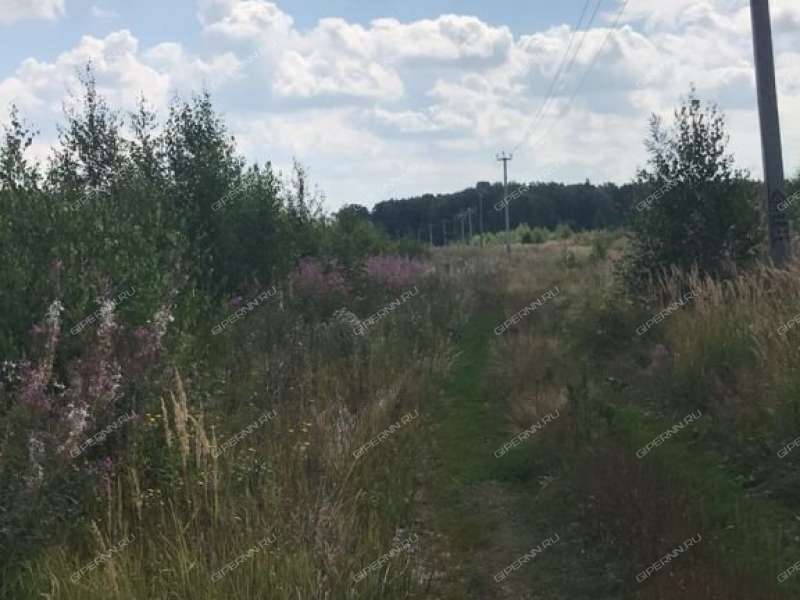 земельный участок 14,5 сотки село Алешково