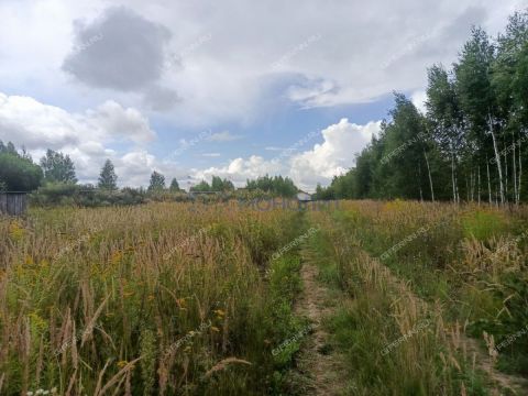 derevnya-zaozere-bogorodskiy-municipalnyy-okrug фото