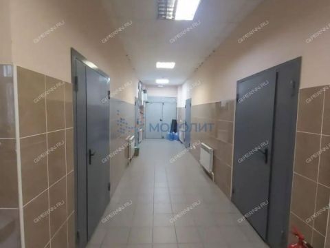 ul-gvozdilnaya-d-12b фото