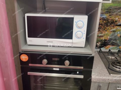 1-komnatnaya-ul-delovaya-d-20 фото