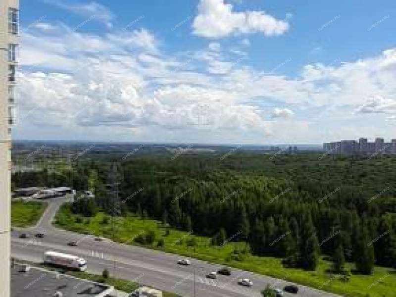 двухкомнатная квартира на улице Академика Сахарова дом 109