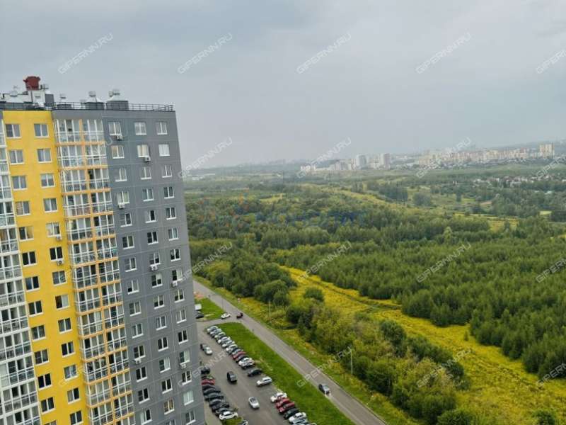 однокомнатная квартира на Русской улице улице дом 19 деревня Анкудиновка