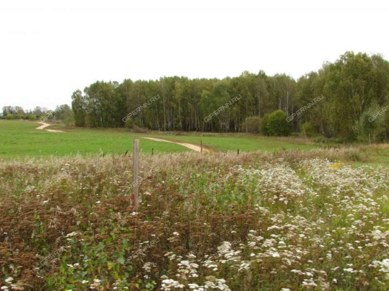 дом на Южной улице посёлок Нижегородец
