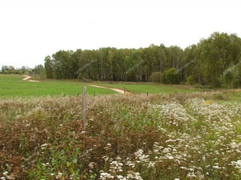 poselok-nizhegorodec-dalnekonstantinovskiy-rayon фото