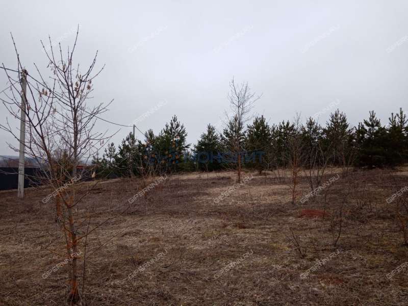 земельный участок 9,95 сотки Солнечная улица ДП Чешские Сады (деревня Непецино) тер