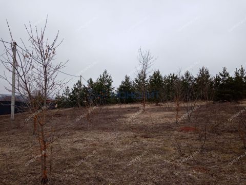 dp-cheshskie-sady-derevnya-nepecino-ter-bogorodskiy-municipalnyy-okrug фото