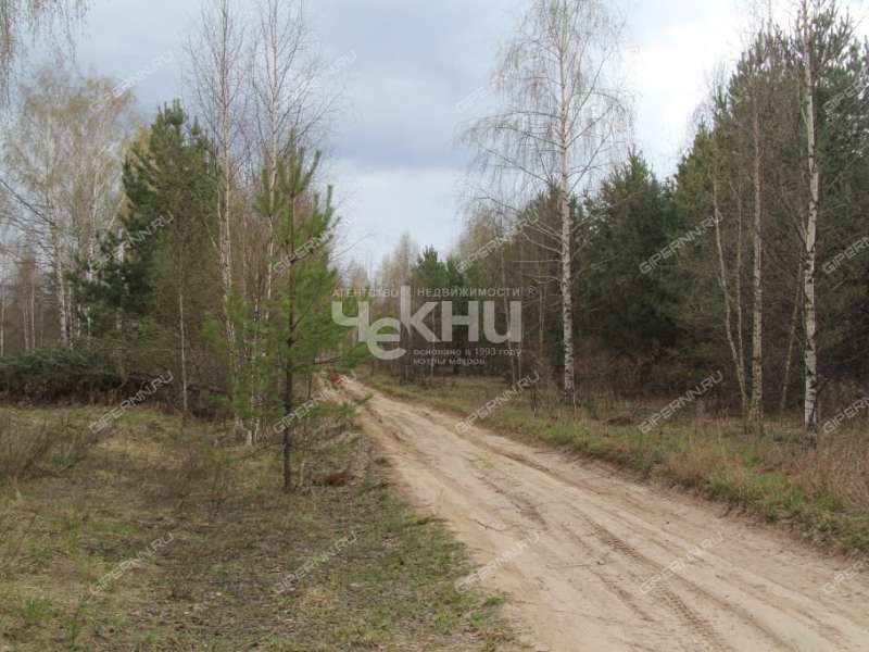 земельный участок 10,6 сотки Тенистая деревня Кудрино